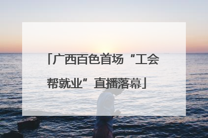 广西百色首场“工会帮就业”直播落幕