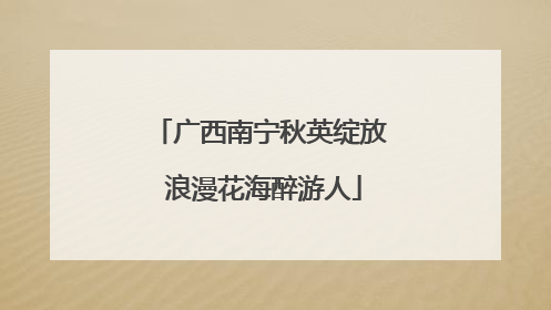 广西南宁秋英绽放 浪漫花海醉游人