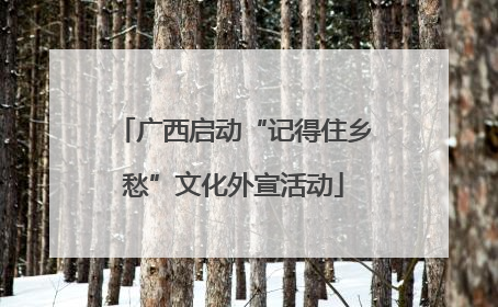 广西启动“记得住乡愁”文化外宣活动