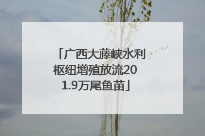 广西大藤峡水利枢纽增殖放流201.9万尾鱼苗