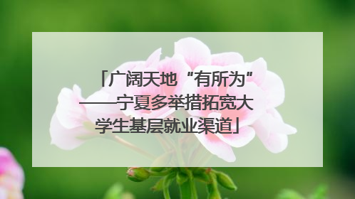 广阔天地“有所为”——宁夏多举措拓宽大学生基层就业渠道