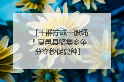 干群拧成一股绳！夏邑县骆集乡争分夺秒促夏种