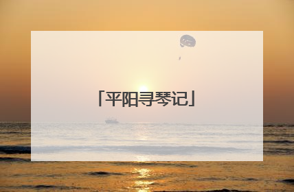 平阳寻琴记