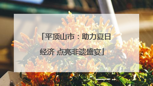 平顶山市：助力夏日经济 点亮非遗盛宴