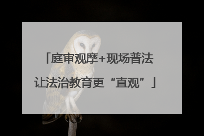 庭审观摩+现场普法 让法治教育更“直观”
