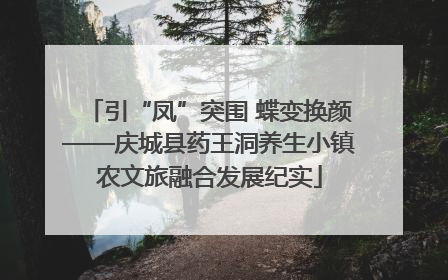 引“凤”突围 蝶变换颜——庆城县药王洞养生小镇农文旅融合发展纪实