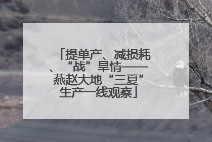 提单产、减损耗、“战”旱情——燕赵大地“三夏”生产一线观察
