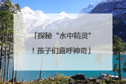 探秘“水中精灵”！孩子们直呼神奇