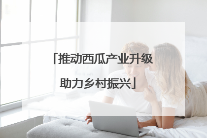 推动西瓜产业升级 助力乡村振兴