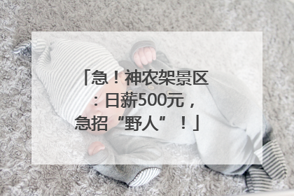 急！神农架景区：日薪500元，急招“野人”！
