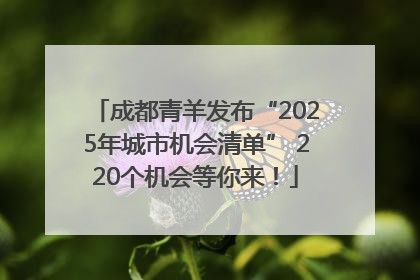 成都青羊发布“2025年城市机会清单” 220个机会等你来！