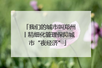我们的城市叫郑州丨精细化管理保障城市“夜经济”