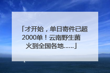 才开始，单日寄件已超2000单！云南野生菌火到全国各地……