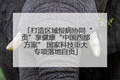打造区域慢病协同“贡”享健康“中国西部方案” 国家科技重大专项落地自贡
