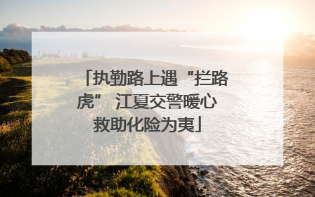 执勤路上遇“拦路虎” 江夏交警暖心救助化险为夷