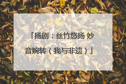 扬剧：丝竹悠扬 妙音婉转（我与非遗）