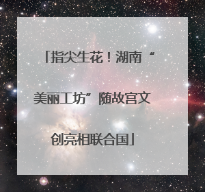 指尖生花！湖南“美丽工坊”随故宫文创亮相联合国