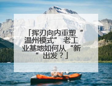 挥刃向内重塑“温州模式” 老工业基地如何从“新”出发？