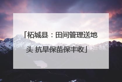 柘城县：田间管理送地头 抗旱保苗保丰收