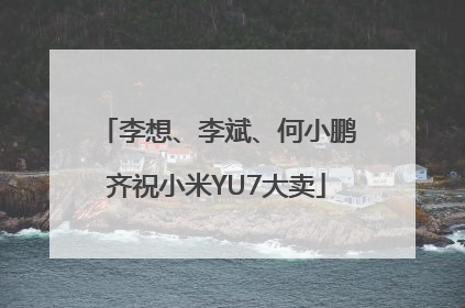 李想、李斌、何小鹏齐祝小米YU7大卖