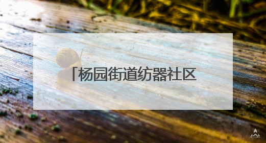 杨园街道纺器社区：粽叶飘香迎端午 共庆佳节传温情