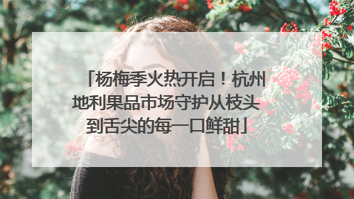 杨梅季火热开启！杭州地利果品市场守护从枝头到舌尖的每一口鲜甜