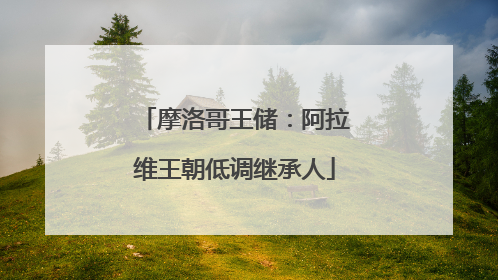 摩洛哥王储：阿拉维王朝低调继承人