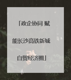 政企协同 赋能长沙高铁新城自贸经济圈