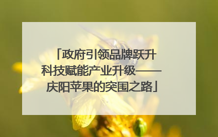 政府引领品牌跃升 科技赋能产业升级——庆阳苹果的突围之路