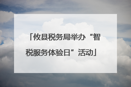 攸县税务局举办“智税服务体验日”活动