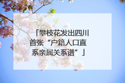 攀枝花发出四川首张“户籍人口直系亲属关系谱”