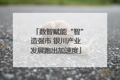 数智赋能“智”造强市 银川产业发展跑出加速度