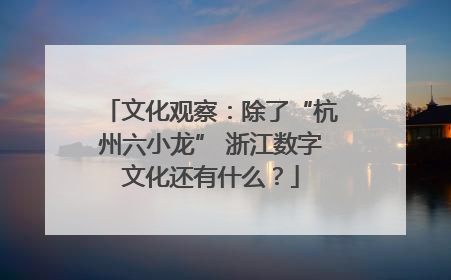文化观察：除了“杭州六小龙” 浙江数字文化还有什么？