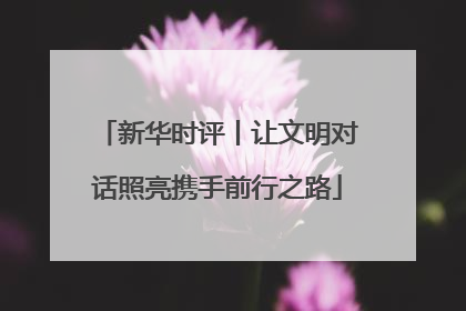 新华时评丨让文明对话照亮携手前行之路