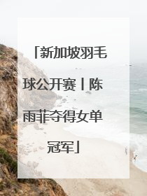 新加坡羽毛球公开赛丨陈雨菲夺得女单冠军