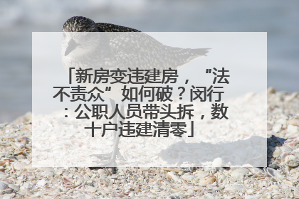 新房变违建房，“法不责众”如何破？闵行：公职人员带头拆，数十户违建清零