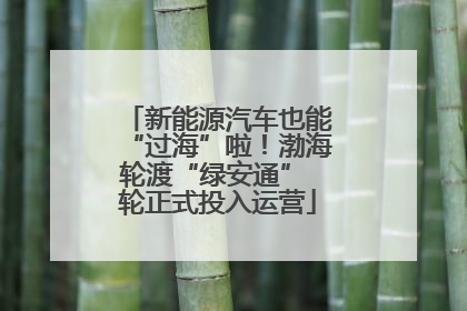 新能源汽车也能“过海”啦！渤海轮渡“绿安通” 轮正式投入运营