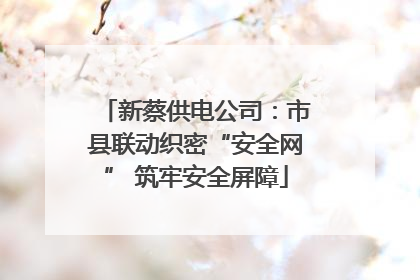 新蔡供电公司：市县联动织密“安全网” 筑牢安全屏障