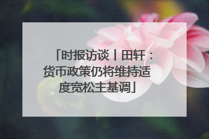 时报访谈丨田轩：货币政策仍将维持适度宽松主基调