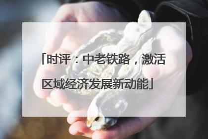 时评：中老铁路，激活区域经济发展新动能