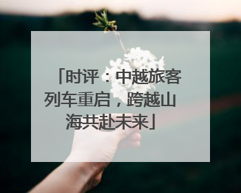 时评：中越旅客列车重启，跨越山海共赴未来