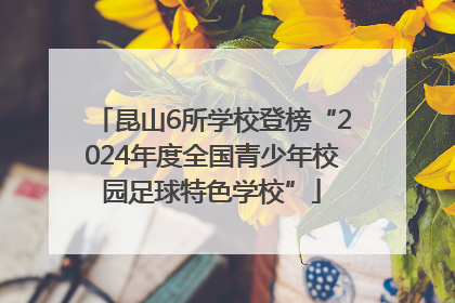 昆山6所学校登榜“2024年度全国青少年校园足球特色学校”