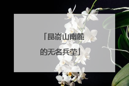 昆嵛山南麓的无名兵茔