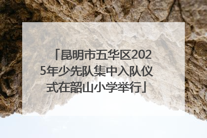 昆明市五华区2025年少先队集中入队仪式在韶山小学举行
