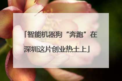 智能机器狗“奔跑”在深圳这片创业热土上