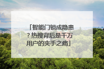 智能门锁成隐患？热搜背后是千万用户的夹手之痛