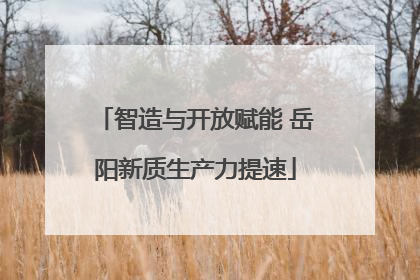 智造与开放赋能 岳阳新质生产力提速