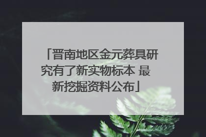晋南地区金元葬具研究有了新实物标本 最新挖掘资料公布