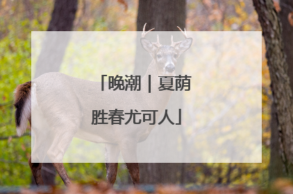 晚潮｜夏荫胜春尤可人