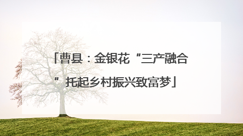 曹县：金银花“三产融合”托起乡村振兴致富梦